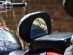 Studded Driver Rider Backrest Yamaha Dragstar XVS 1100 A Vstar XVS1100A CLASSIC